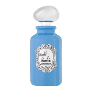 A NICHE ANTONIE EXTRAIT DE PARFUM 100ML MEN